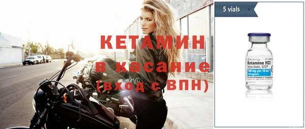 прущие грибы Балабаново