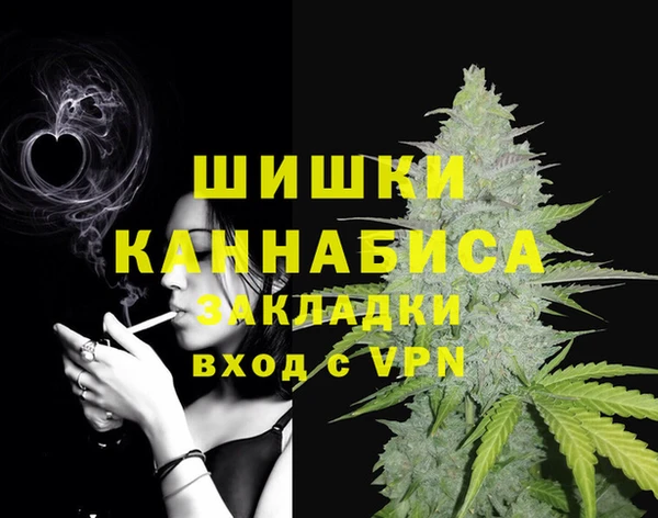 сатива Балахна